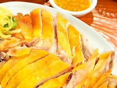 -渔洲头食苑·旦家园全笋宴农家乐