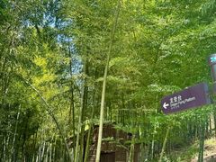 -藏龙百瀑风景区