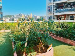 -江门市中天国际艺术幼儿园