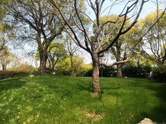 -上海海湾国家森林公园