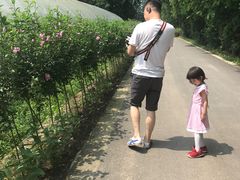 -前小桔亲子创意农场·草莓采摘·露营烧烤