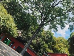 -宜兴张公洞