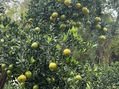 -东钱湖旅游度假区