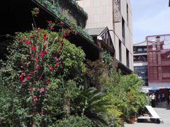 -胡桃里音乐酒馆(曲江店)