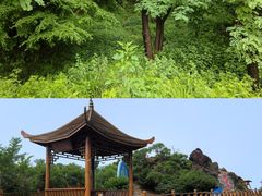 -大鹿岛