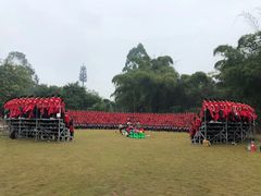 -美丽南方·老木棉匠园·团建烧烤·烤全羊