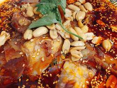红油肺片-伊兰麒兰馨园·川菜·清真馆(339电视塔店)