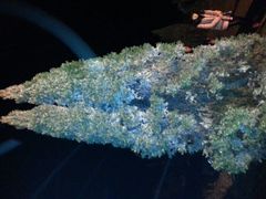 -瑞安圣井山景区