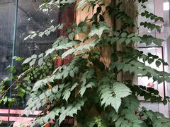 -三峡古玩城(泰古广场店)