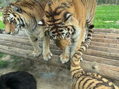 -西安秦岭野生动物园