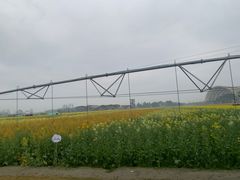 -中国天府农业博览园