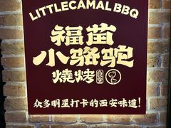 -福苗小骆驼烧烤(莲湖路店)