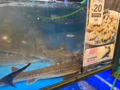 -盒马鲜生(皇庭广场店)