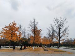 -重庆中央公园(渝北区)