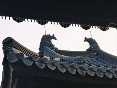 -江心屿景区