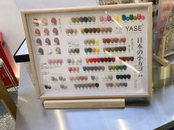 -MONICA BOX美甲美睫