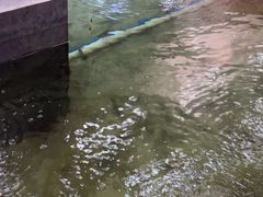 -光头佬室内钓虾场·烧烤·团建·亲子(中山八路店)