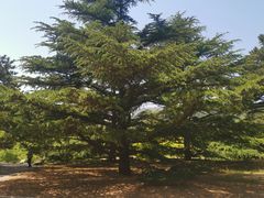 -北京植物园南门售票处