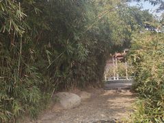 -蠡湖大桥公园