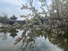 -莲池书院博物馆