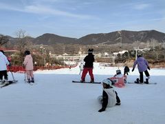 -蓟洲国际滑雪场