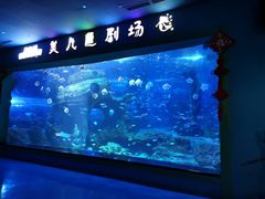 -多彩贵州城极地海洋世界