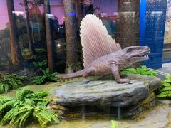 -国家自然博物馆