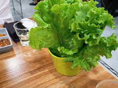 包肉叶生菜-小米烤肉·和牛原切-创意韩料(东关店)