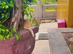 -广州莲花山旅游区
