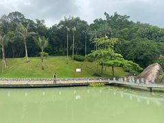 -景山公园