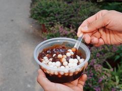-潘玉麟糖粥