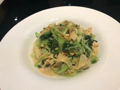 青菜豆衣-碧丽宫大酒店(召稼楼店)