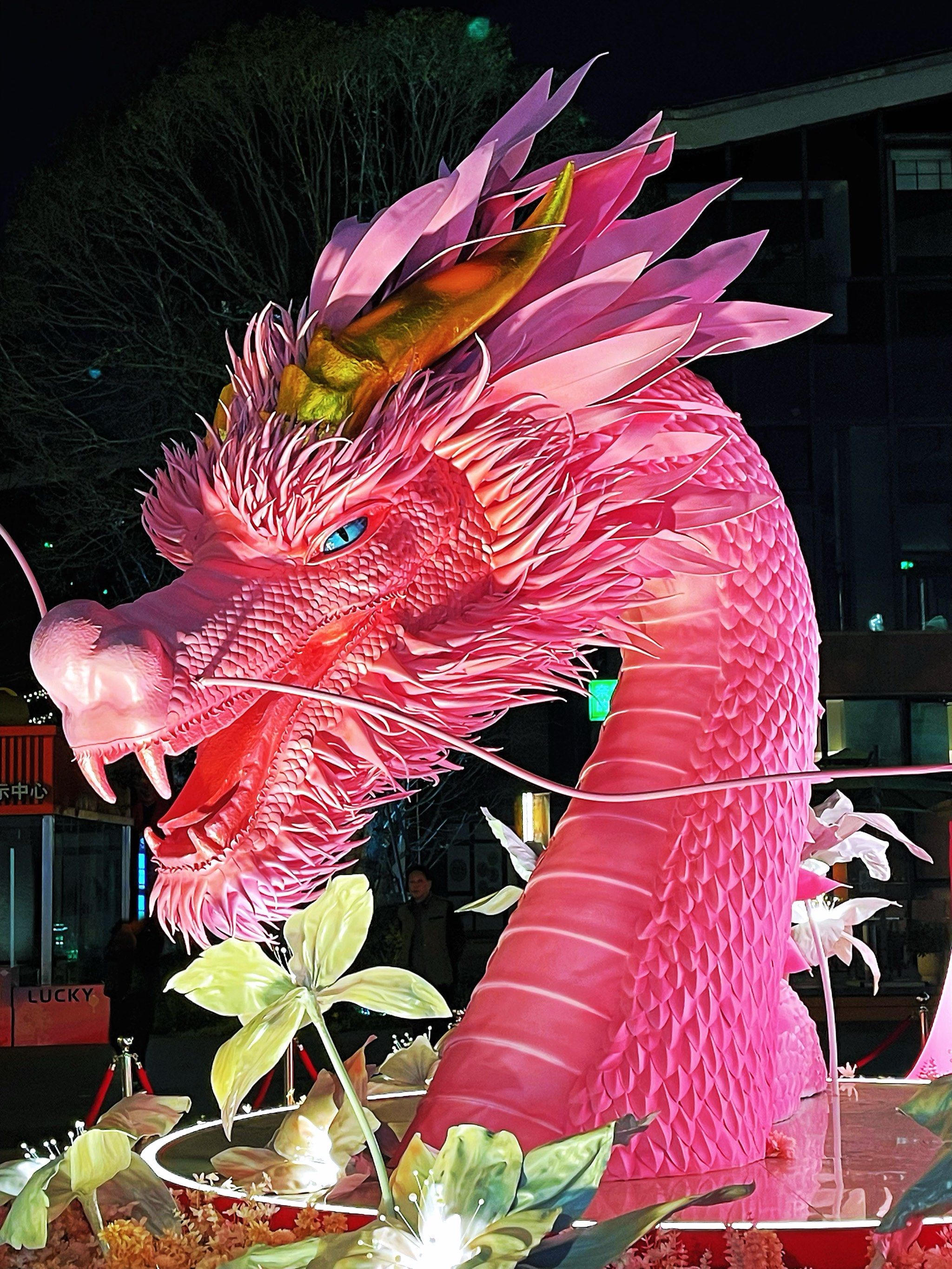 一条超美的粉龙🐉新年拍照新宠