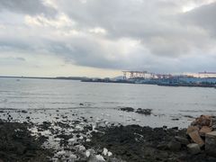-烟墩角天鹅湖