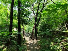 -香山公园