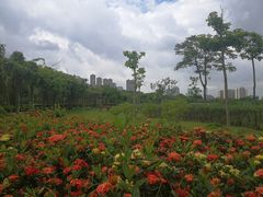-广西壮族自治区药用植物园