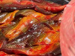 -二荆条·蜀鲜汇城市森林火锅