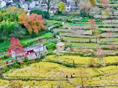-塔川景区
