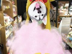 -九木杂物社(新一城店)