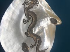 -青岛贝壳博物馆