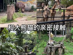 -南昌动物园