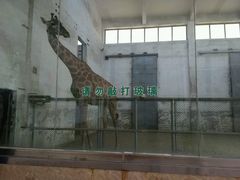 -石家庄市动物园