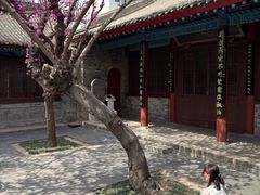 -万寿八仙宫