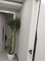 -悟空祛痘·诺奖技术专业店