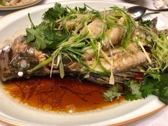 清蒸鳜鱼-到家尝北京菜(西坝河店)