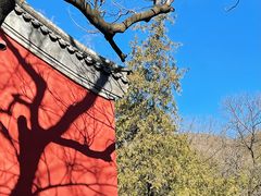 -潭柘寺景区