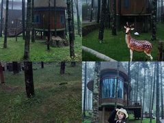 -洛阳白云山景区