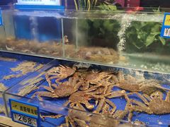 水产区-船歌·鱼水饺青岛菜(闽江二路店)