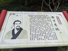 -沙美村