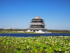 -呼兰河口湿地公园